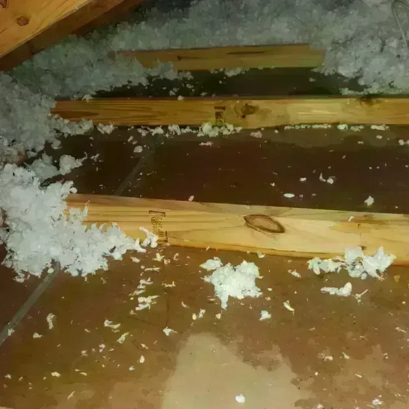 Attic Water Damage in Comanche County, KS